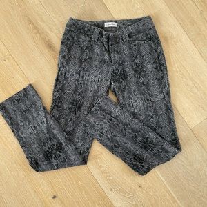 calvin klein snake print pants